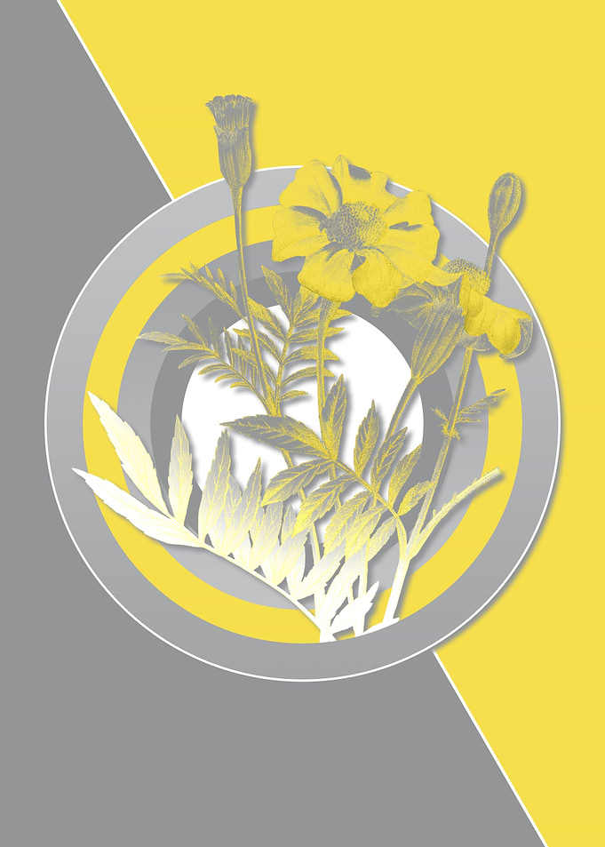 Floral Botanical in Yellow