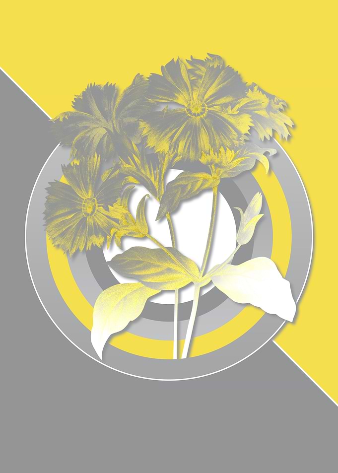 Floral Botanicals in Gray