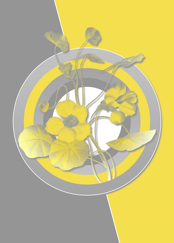 Floral Botanicals in Gray
