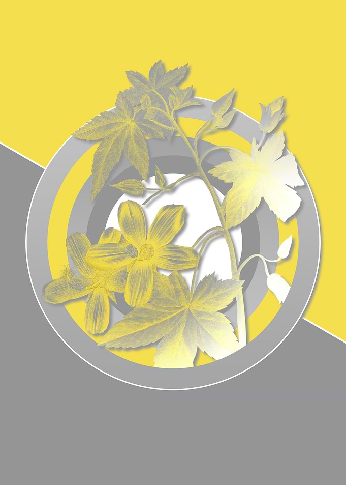 Floral Botanicals in Gray
