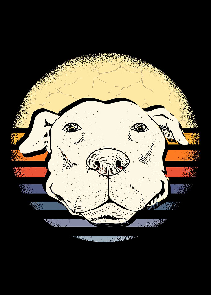 Pitbull Dog Vintage