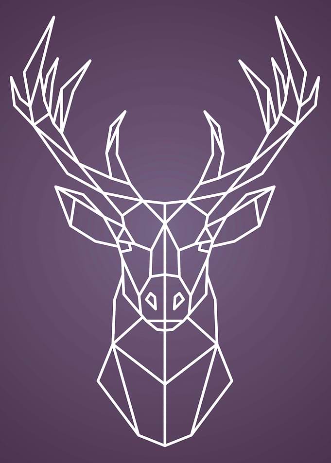 Abstract Deer