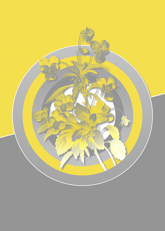 Floral Botanical in Yellow