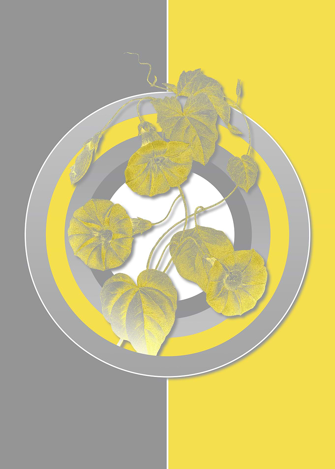 Floral Botanicals in Gray
