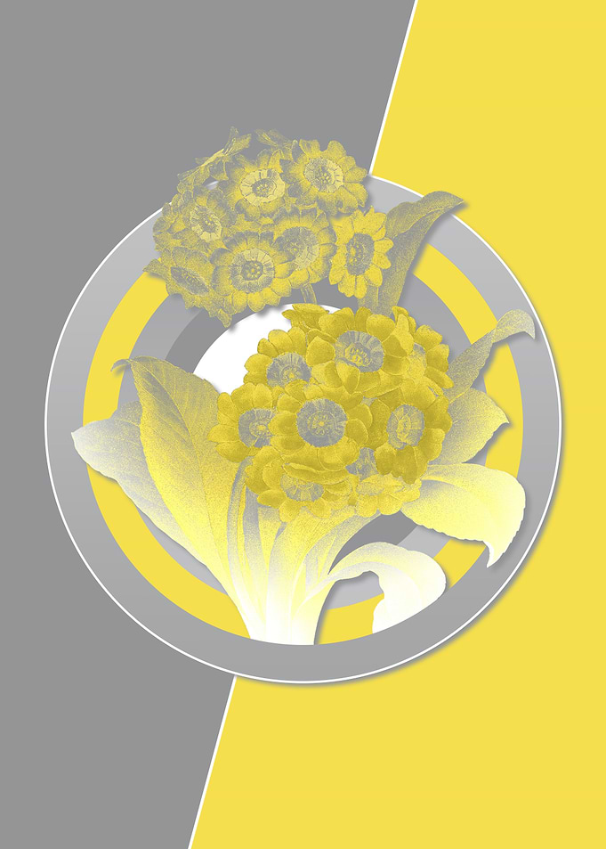Floral Botanicals in Gray