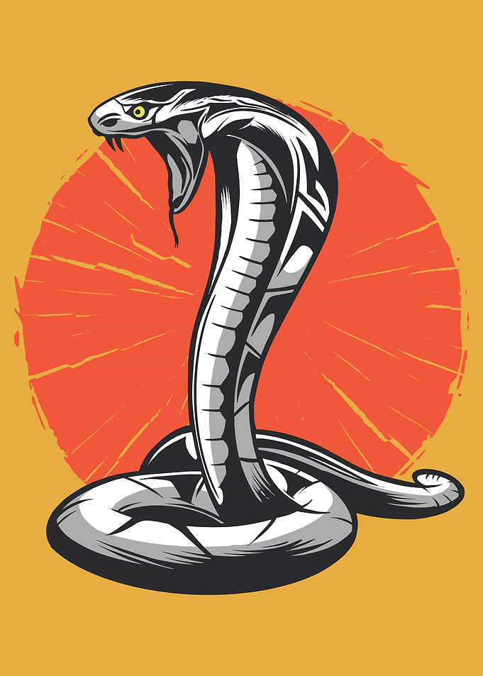 COBRA
