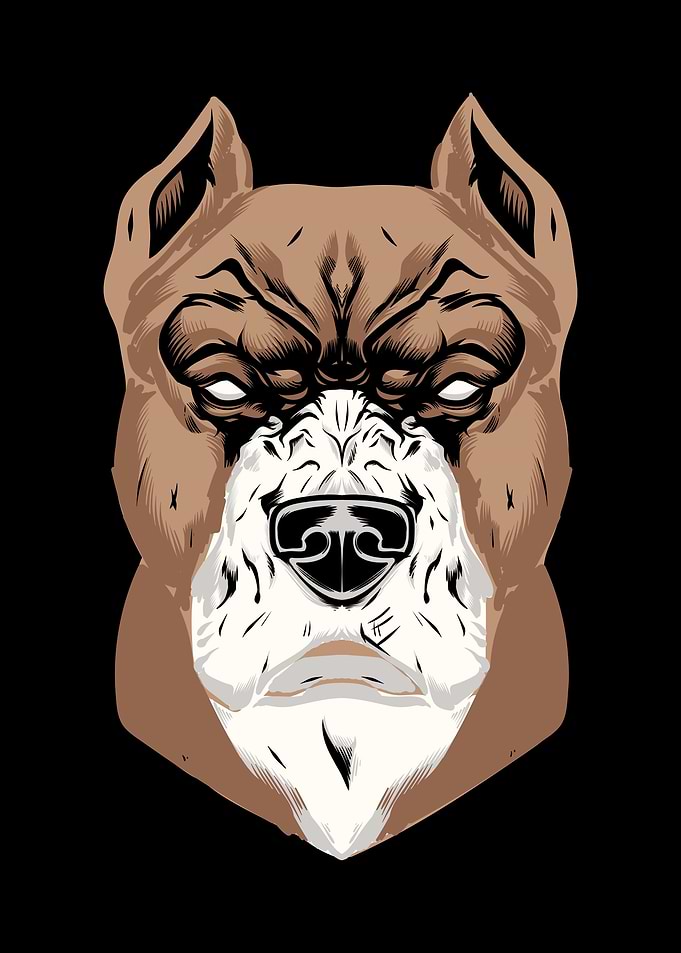 Pit bull