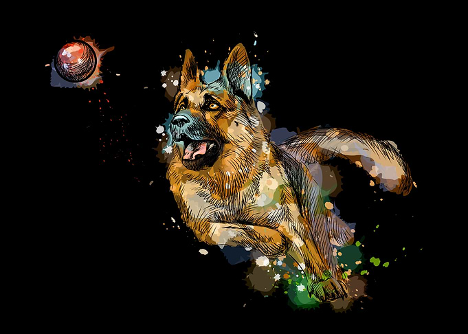 German Shepherd