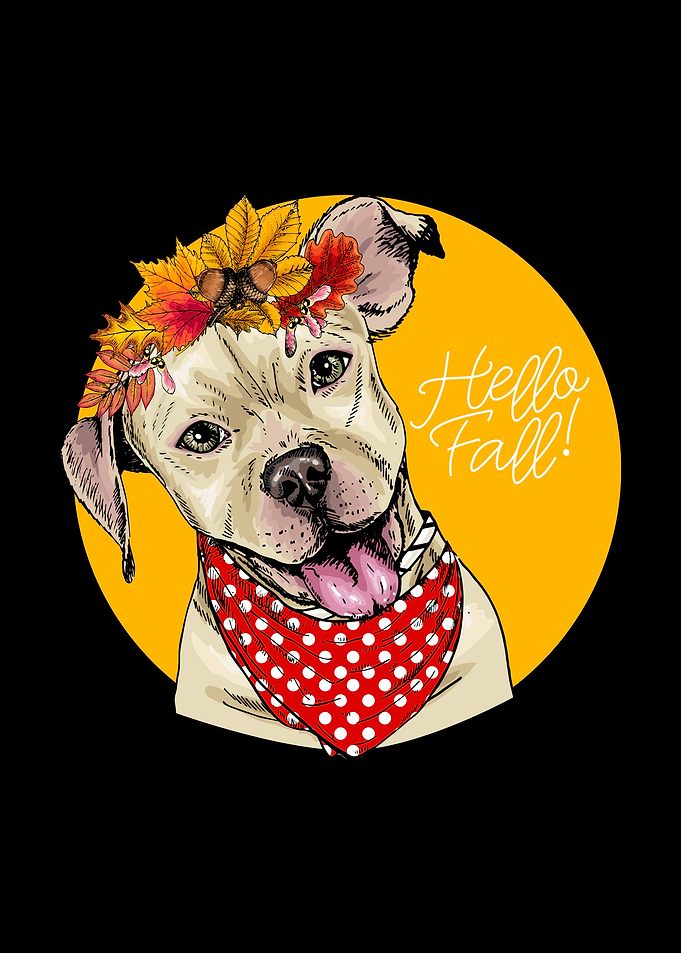 Pit bull