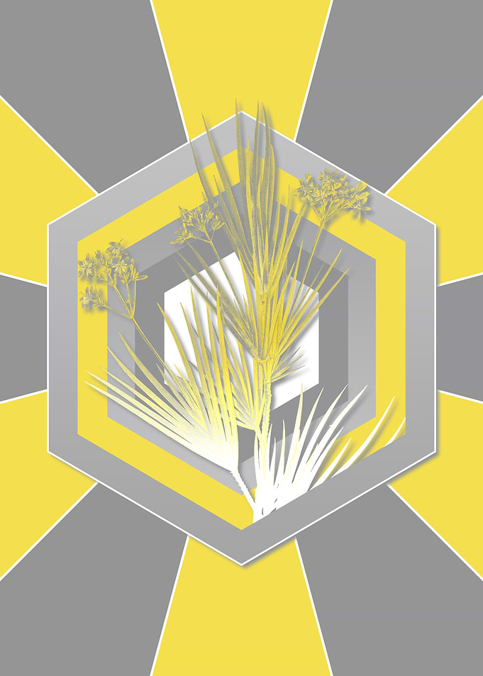Gray and Yellow
