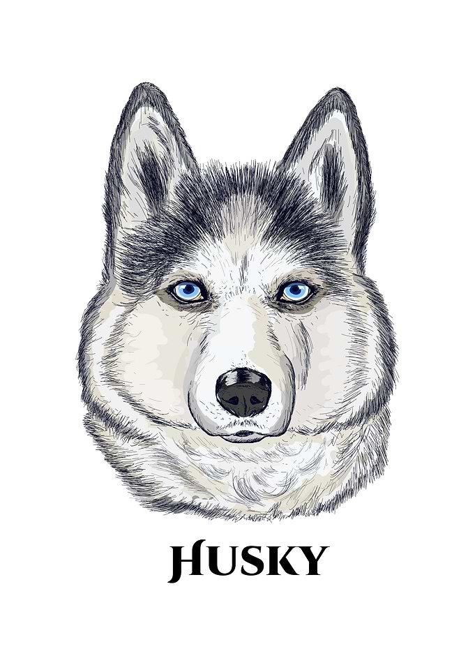 Husky