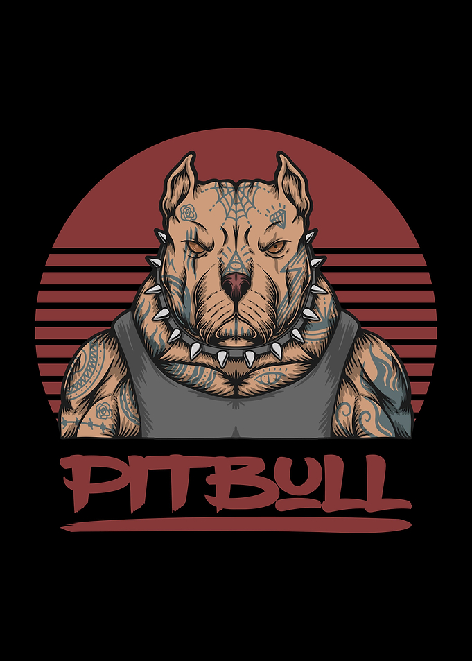 Pit bull