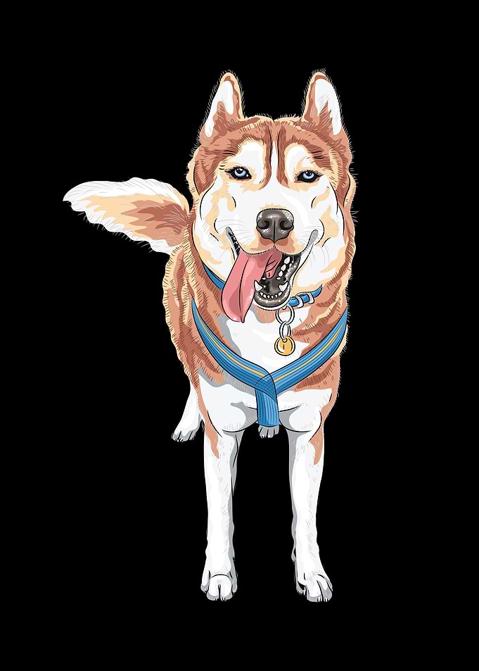 Husky