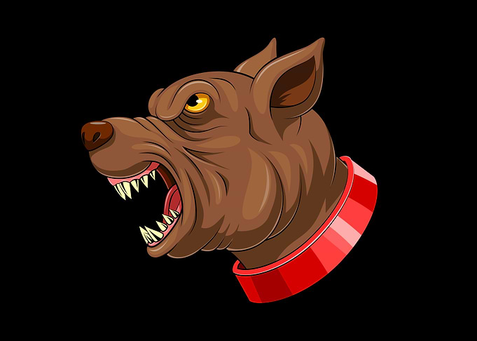 Pit bull