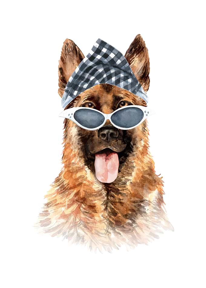 German Shepherd