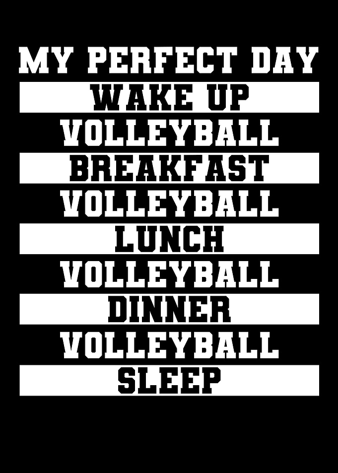 Volleyball Perfect Day