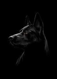 German Shepherd