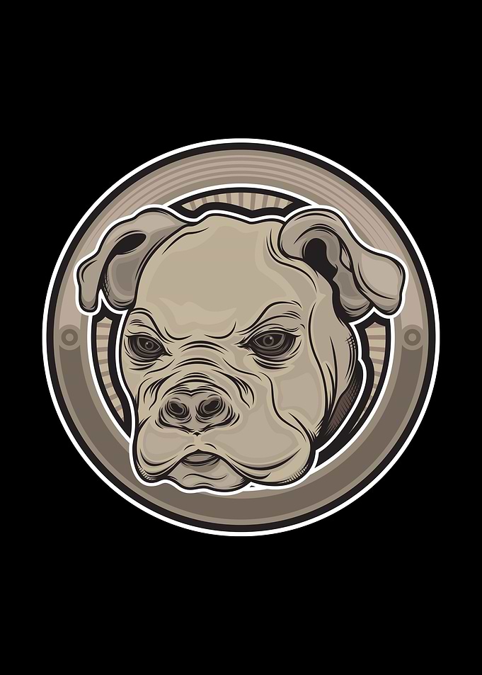 Pit bull