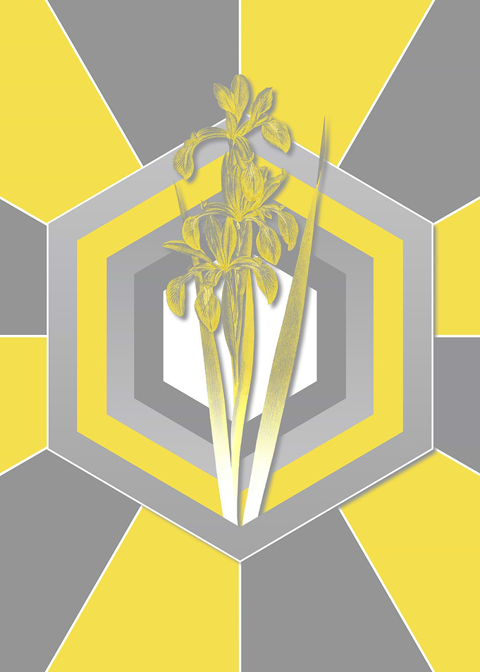 Gray and Yellow Flowers