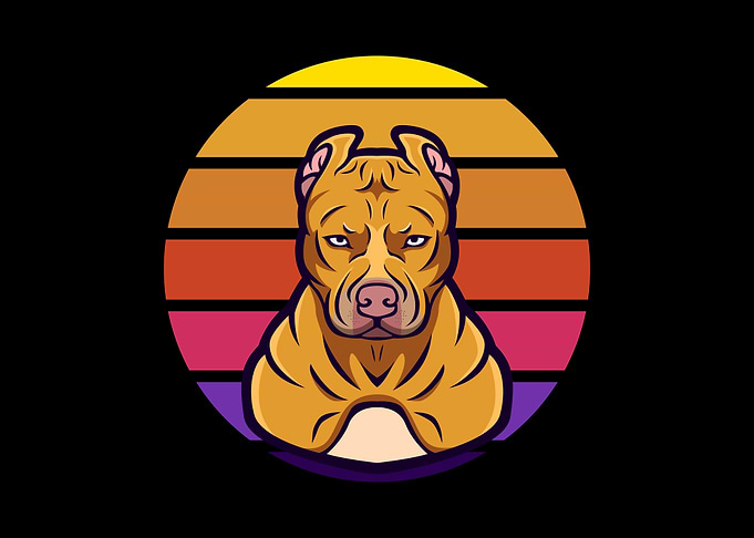 Pit bull
