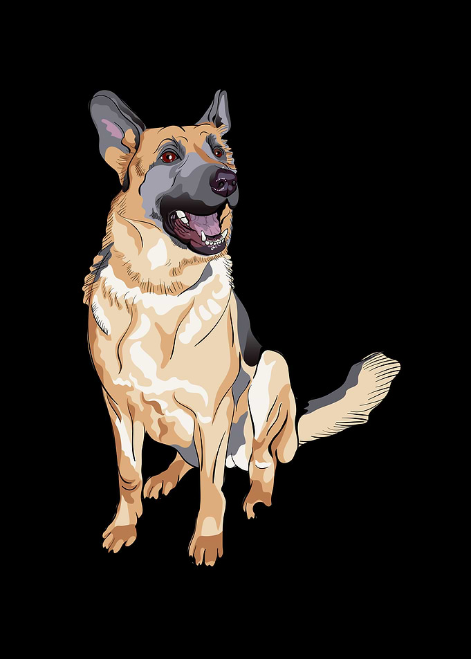German Shepherd