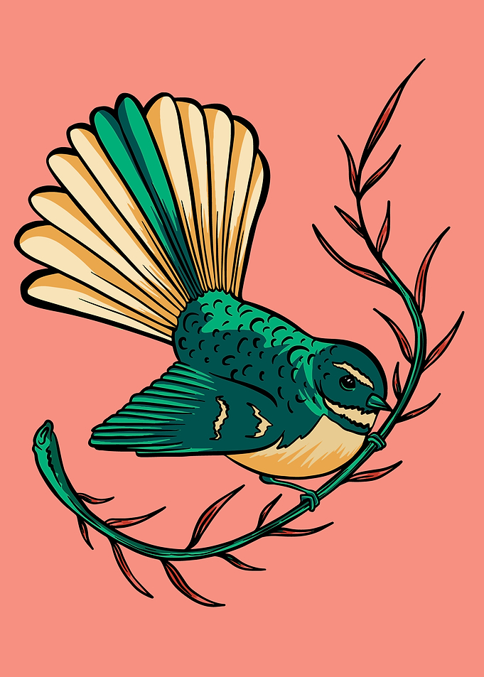 FANTAIL BIRD