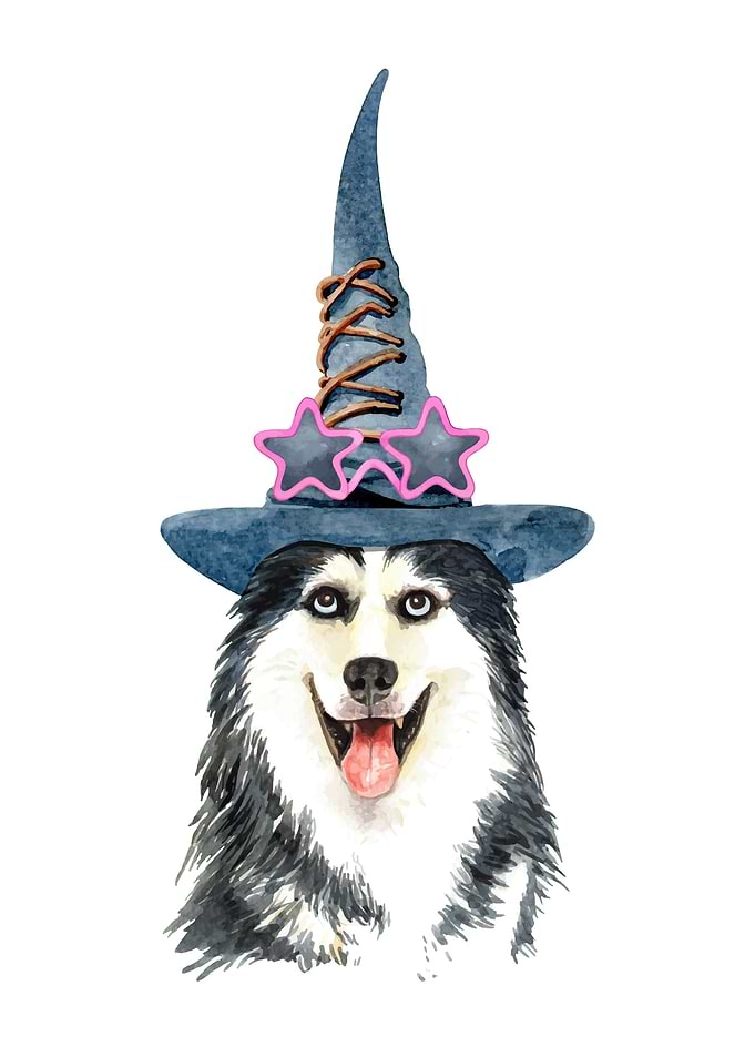 Husky
