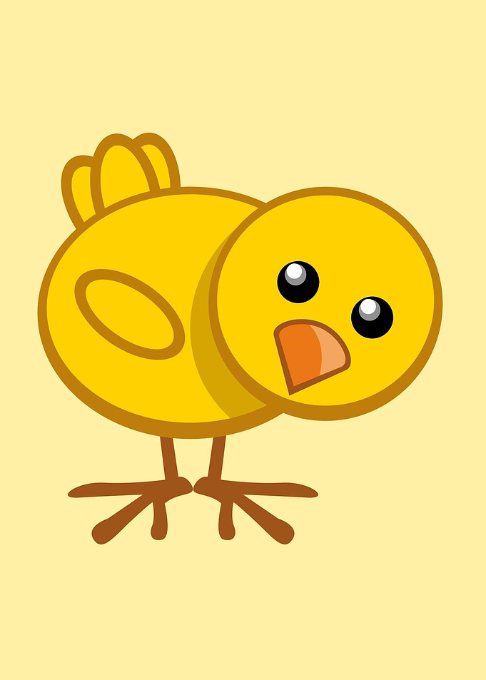 A chick is looking at you