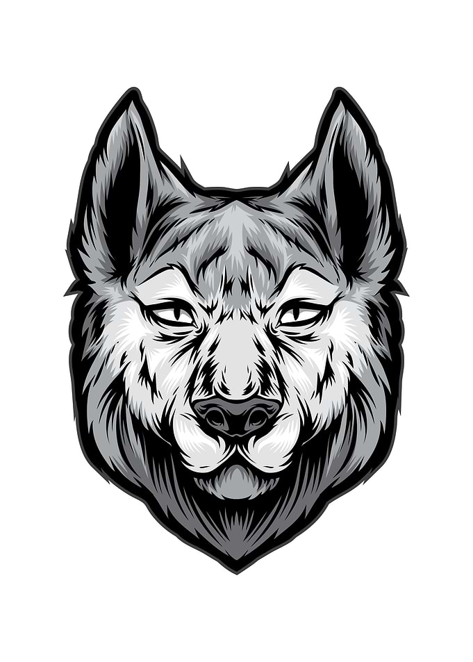 Husky