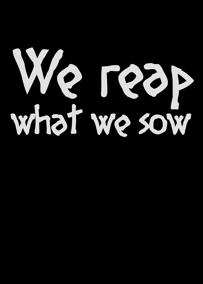 We reap what we sow