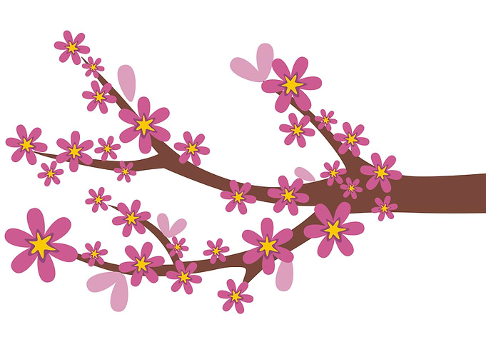 flowers spring