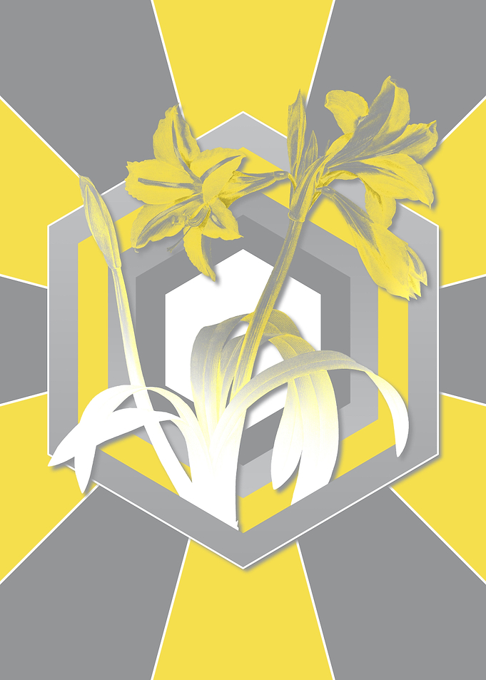 Gray and Yellow Flowers
