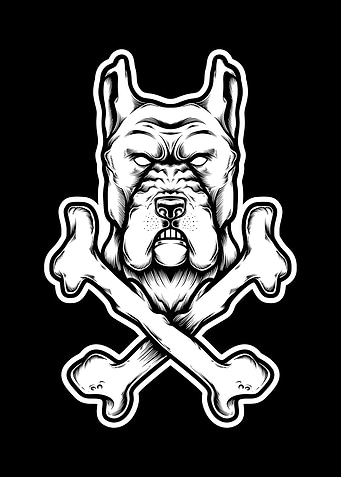Pit bull