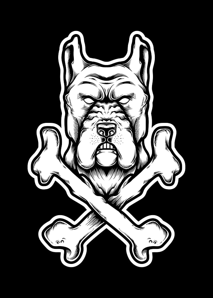 Pit bull