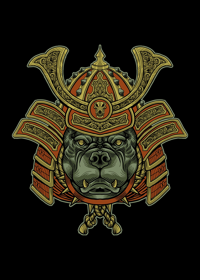 Pit bull