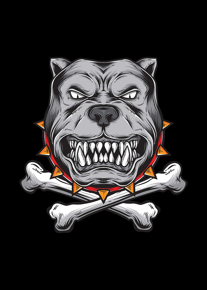 Pit bull
