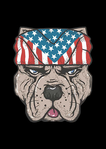 Pit bull