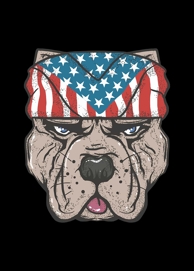 Pit bull