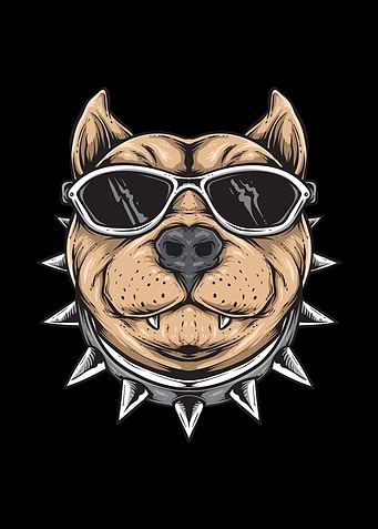 Pit bull