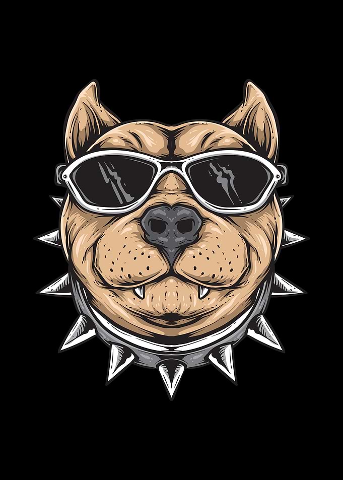 Pit bull