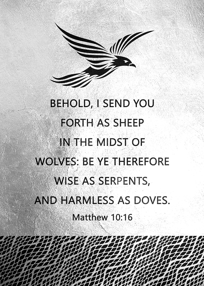 Matthew 10 16