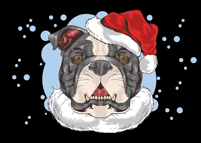 Pit bull
