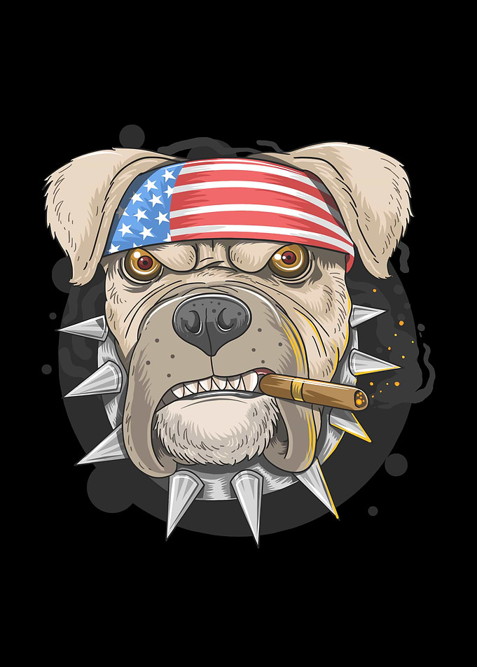 Pit bull