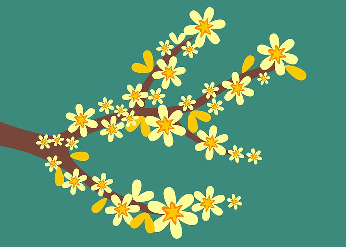 flowers spring