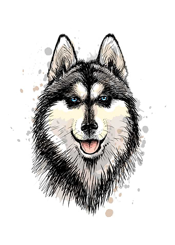 Husky