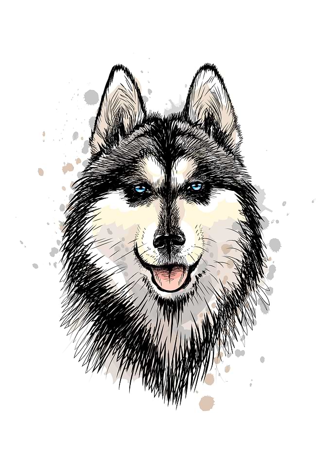 Husky