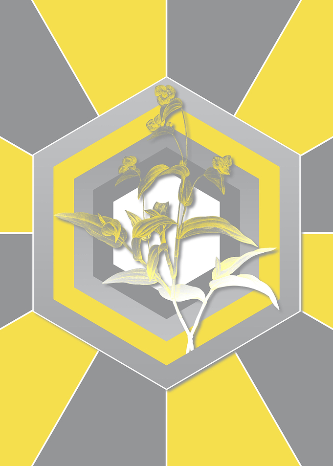 Gray and Yellow Flowers