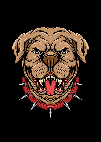 Pit bull
