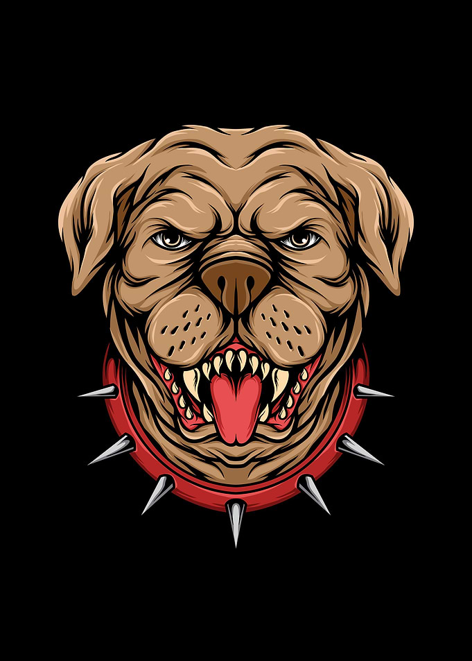 Pit bull
