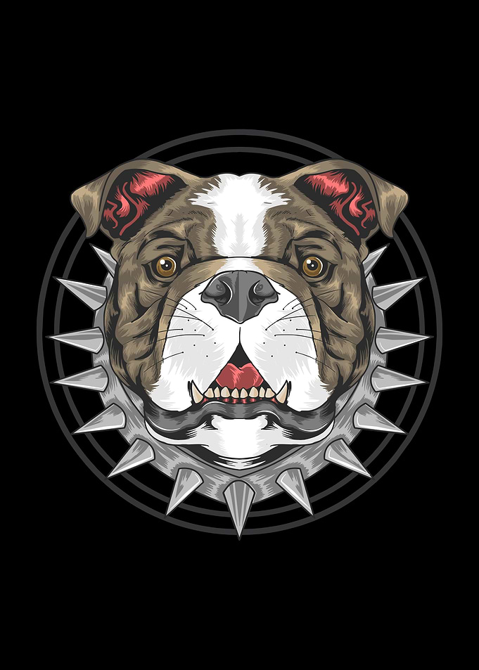 Pit bull
